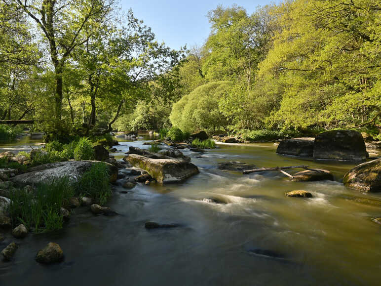 Vallée de la Sèvre Nantaise