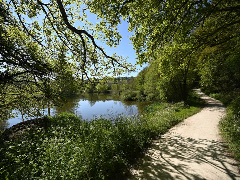 La petite Yvoie, vallée de la Sèvre Nantaise