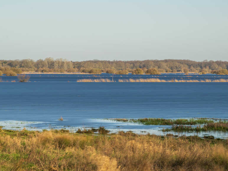 Le Lac de Grand-Lieu