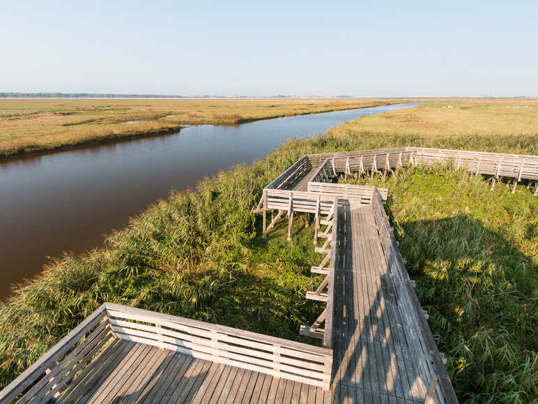 L’Observatoire Kawamata, Lavau sur Loire (Loire Atlantique)