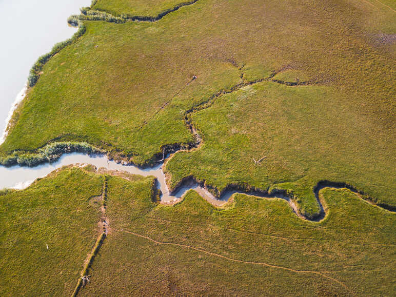 Observatoire du Lavau - Estuaire de la Loire