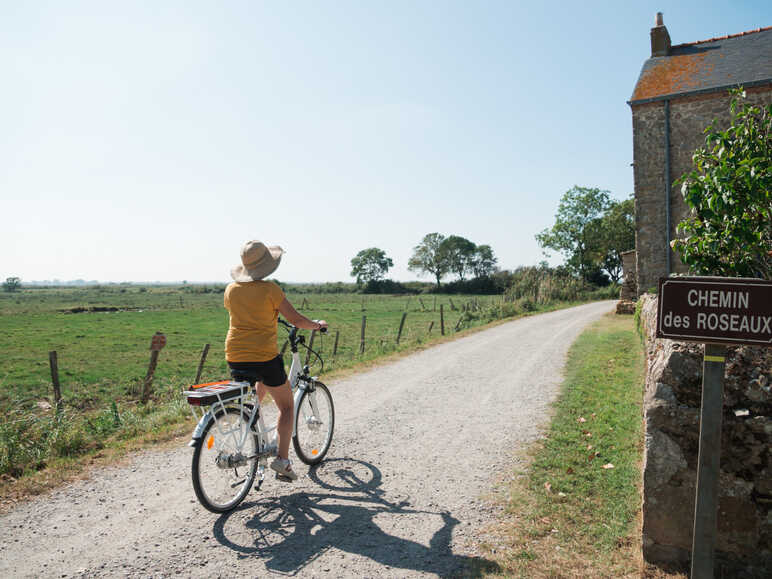 Découverte du village de Lavau-sur-Loire à vélo