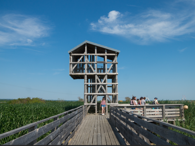 Les Nids-Observatoires