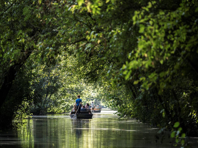 Balade en barque dans le Marais Poitevin