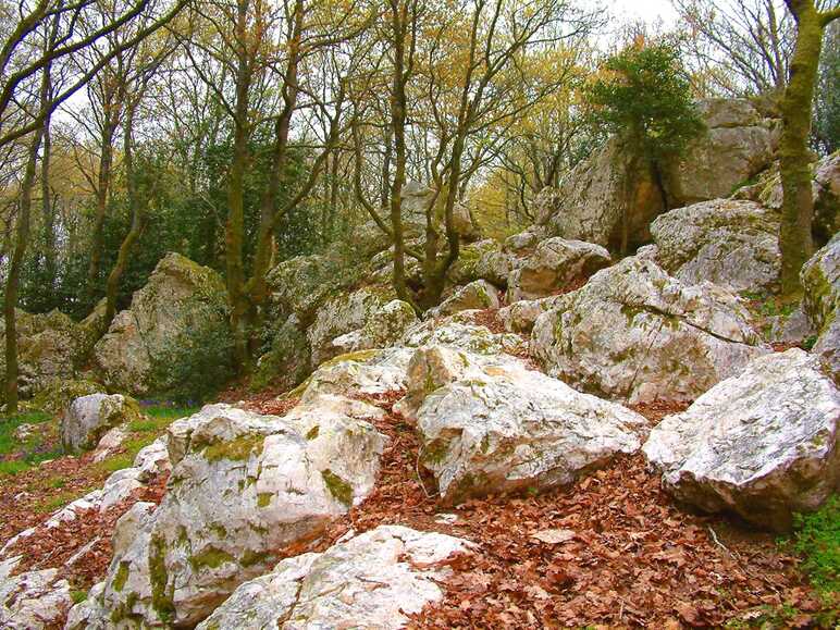 Site des rochers de Pyrôme, Mauléon (Deux-Sèvres)